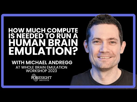 Michael Andregg | How Much Compute is Needed to Run a Human Brain Emulation? @ WBE Workshop 2023