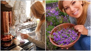 How to Make Essential Oils from the Garden  Harves