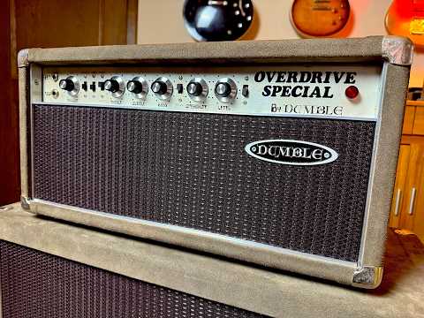 Dumble Overdrive Special WX50 1978 - gray suede image 12