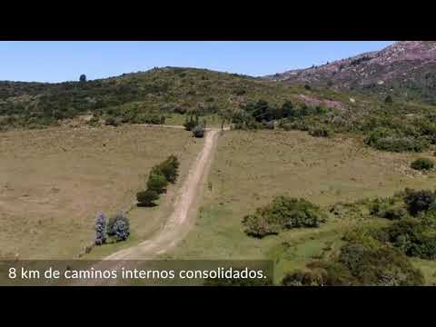 Video de YouTube - Campo en Maldonado ref. 6128