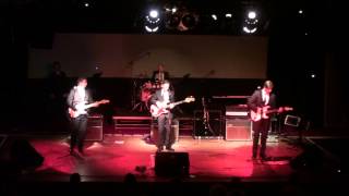 Lady of the morning.  The undercover Shadows.  2013 Celebration of The Shadows