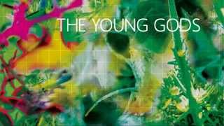 THE YOUNG GODS - SECOND NATURE - Anniversary Edition (Rustblade)
