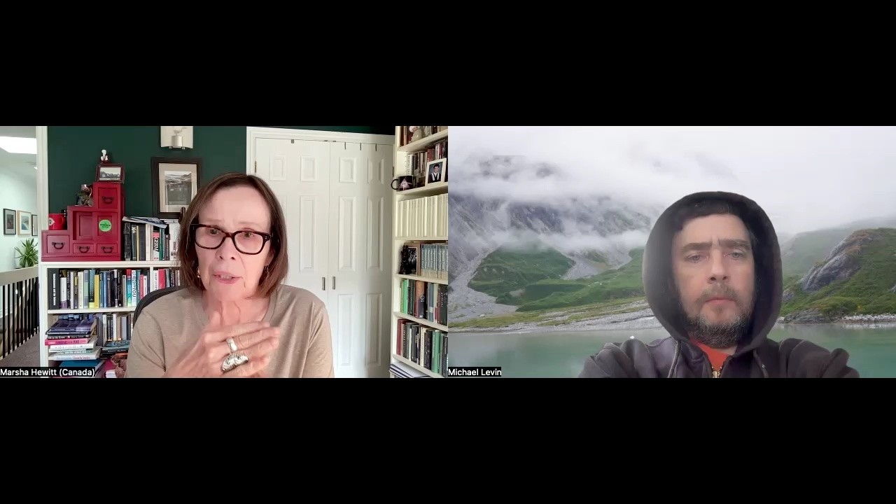 Discussion with Marsha Hewitt (Platonic Space and related ideas)