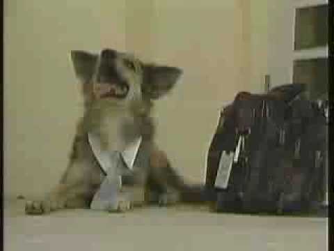 Club Sunshine Dos Caras y Un Destino y Chiquito pero Sabroso 5 25 09 Programación Wapa tv