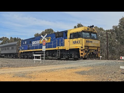 6MA8 JBRE "The Overland" (NR43), Melbourne to Adelaide, 1155, 22/11/24, Deep Lead VIC