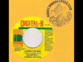Johnny Too Bad Riddim Version   -   Digital B