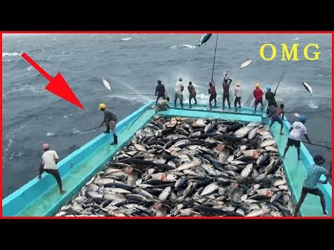 Amazing Automatic Lines, Catching and Processing Fish Right on Ship, Big Catch in The Sea 2