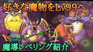 【少年ヤンガス】好きな魔物を楽しくLv99へ！魔導レベリング方法と解説(part1)