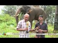 വട്ടംചുറ്റിച്ച അരിക്കൊമ്പൻ അനുഭവം പ�