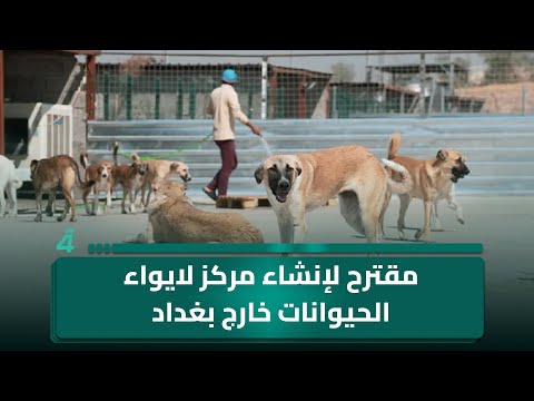 فيديو | إمكانية إعادة تفعيل خدمة الهاتف الأرضي.. مقترح لإنشاء مركز لإيواء الحيوانات خارج بغداد