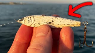 This Beat Up Jig Was CATCHING EVERYTHING - Surprise Catch w/ Catch n Cook