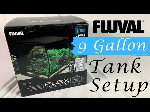 How to Set Up the Fluval Flex 9 Gallon Freshwater Kit!