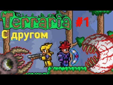 Проходим Террарию с Другом!!)) #1