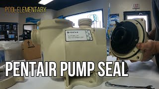 Pentair Pool Pump Seal Replacement: How to replace Pentair Super Flo Pump Seal and impeller