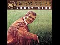 When You're Hot, You're Hot de Jerry Reed