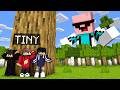 TINY Vs GIANT Hide And Seek In Minecraft