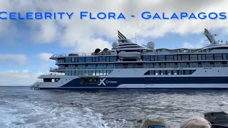 Tour of Celebrity Flora in Galapagos - is it worth the hype?  MUST WATCH BEFORE you book!