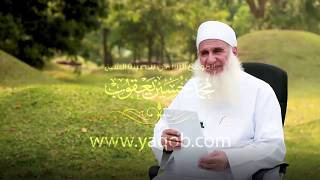 19 - الجزء التاسع عشر |( #قرآنا_عجبا )| الشيخ محمد حسين يعقوب image