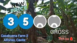 SOLD / Avail Now! Promo Discount this March. Affordable installment lots in  Alfonso, Cavite.