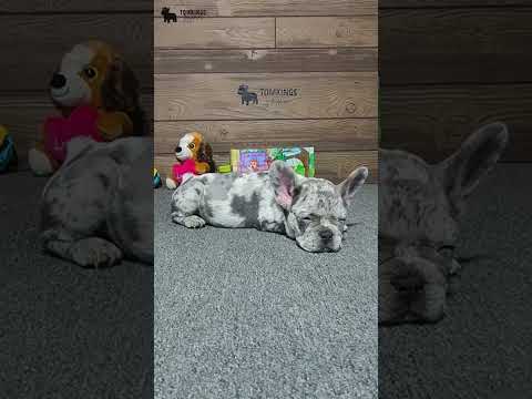 Video 3