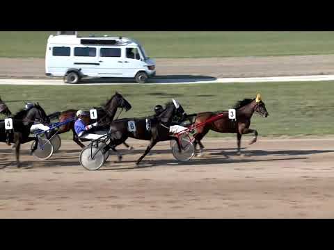 2019.09.21. 05. futam - CALORINA HENDIKEP