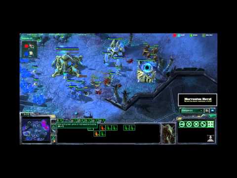 Starcraft 2 - ZvP - Pro Strategy - Umpire vs Tchabalala