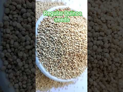 Regular Quinoa Seeds