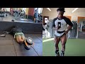 Hanging Hamstrings Workout IFBB Pro Classic Physique