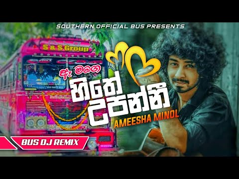 Hithe Upanni (හිතේ උපන්නී) New Dj Remix Collection | Ameesha Minol New Song | #southernofficialbus