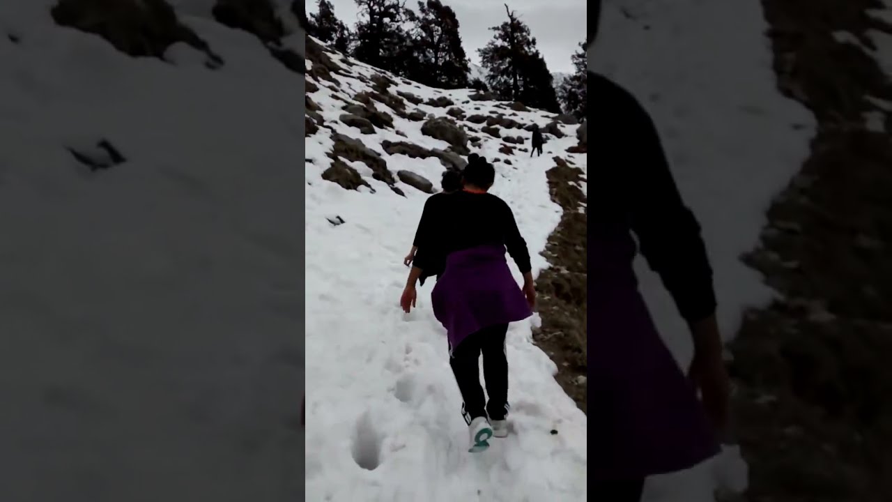On the way to Snowline Cafe | Triund Trek | McLeodganj | #shorts