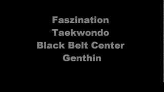 preview picture of video 'traditionelles Taekwondo Black Belt Center Genthin'