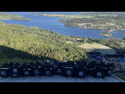 Park The Bus (minneviddddddd)