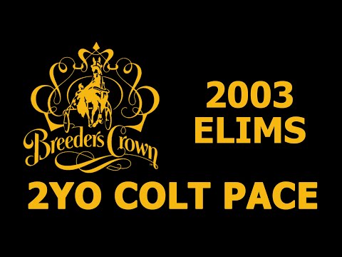 2003 Breeders Crown Elims  Driven To Win & I Am A Fool   2CP