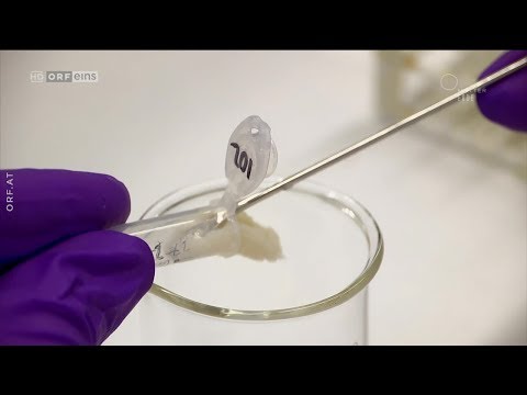 Essen 3.0: Techno-Food ORF Newton