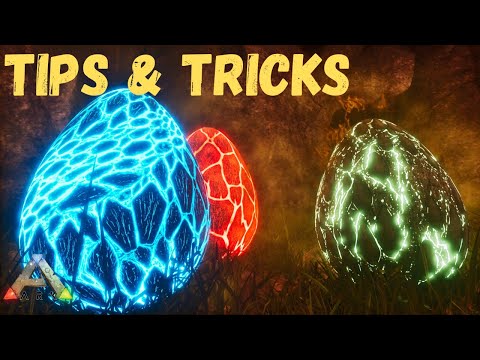 The BEST Way to Get Wyverns/Steal Wyvern Eggs on Ark Ragnarok