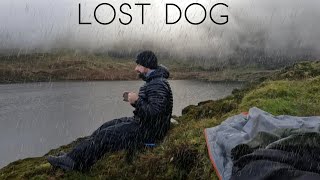 A Cuppa at Loch Mhúscraí / Lake Muskry // Lost Dog on a Hill Of Sheep  // SoleTrail  - 4K