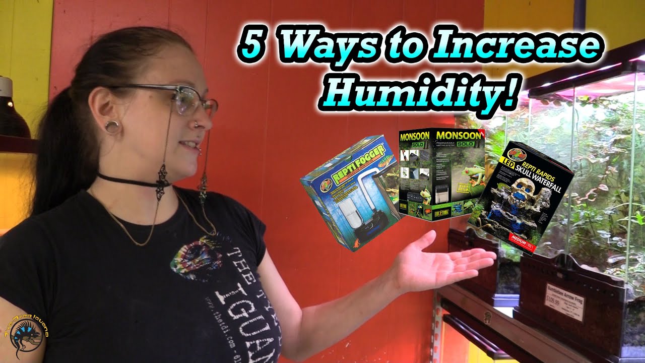 How to Increase the Humidity in Your Reptile and Amphibian Tanks! 🚿 -- 5 Methods We Use