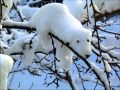 Saint Etienne - Sometimes in Winter (Psychonauts ...