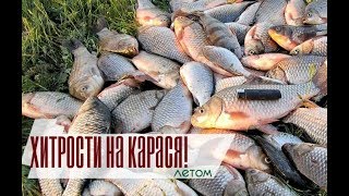 Секреты ловли карася мордами