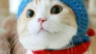リア友とボミ