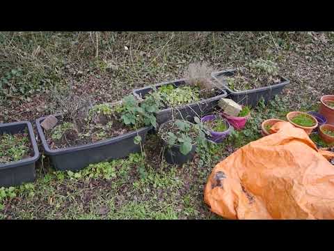 Natur erleben Teil 2