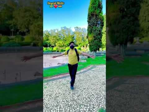 SÃO PAULO BRASIL 🇧🇷🇧🇷🇧🇷