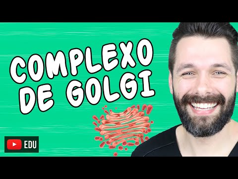 COMPLEXO DE GOLGI - Estrutura e função | BIOLOGIA COM SAMUEL CUNHA