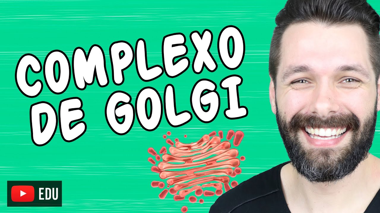 COMPLEXO DE GOLGI - Estrutura e função | BIOLOGIA COM SAMUEL CUNHA
