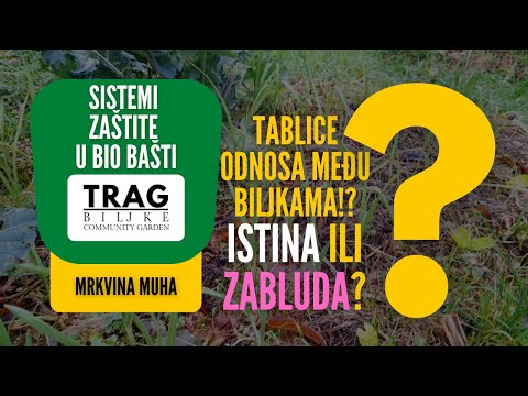 Truth or Myth: Plant Relationship Table - Carrot Fly