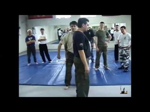 Vasilief systema wave strike