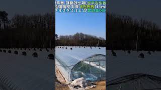 Download lagu 성주군참외농장매매,#shorts,성주군참외논매매,성주군성주읍대황리참외농장매매.성주군성주읍대황리참외농장용지매매.성주군성주읍대황리참외농장부지매매.성주군성주읍대황리참외논매매 mp3