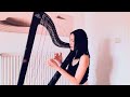 Celso Fonseca - Na Pele De Um Flaneur (harp cover)