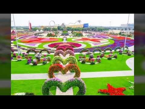 Happy birthday hamdan