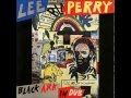 Lee Perry - Guidance